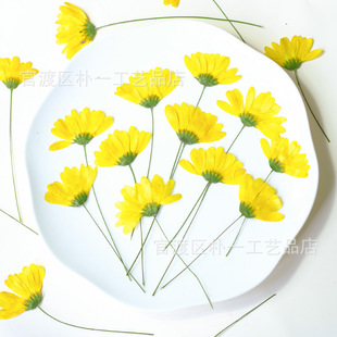 ľ���լ������؂ȉ���ֲ��˱��N���b�ins�ֹ�Ѻ�����ϕ���