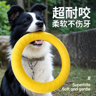 ������ߴ���Ȯ�A�h�w�P߅���l�����hĥ����ҧ�␞�����������