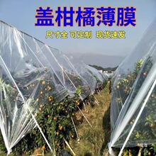 ɰ�Ǳ�ůĤ���ϱ�Ĥ�w����Ĥ���ٱ����ٹ�����Ĥɳ���Ĥ��������