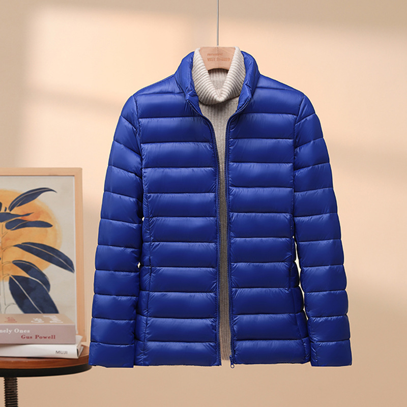 로얄 블루 스탠드 칼라