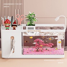 �����ռ{�м��������ϸ�͸���~��2025С�ͼ������B����һ�w���ռ{