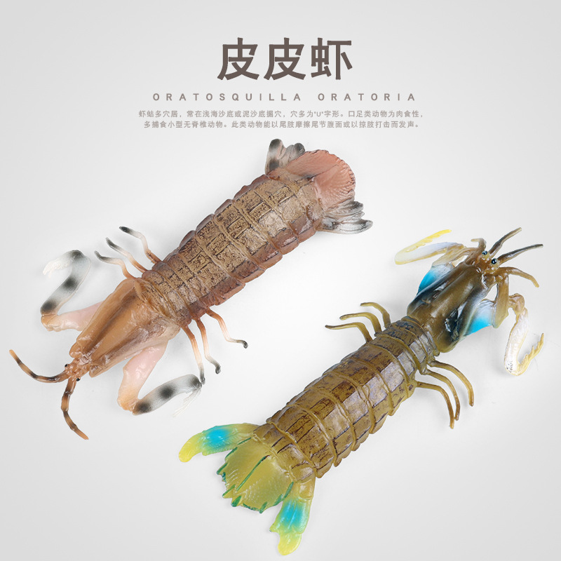 兒童認知仿真皮皮蝦海洋生物動物模型琵琶蝦螳螂蝦寶寶感官盆玩具