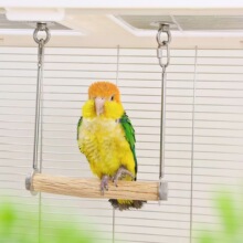 ZW^ǧվUȻҰľҧ߲P䓌␞˿ҧ