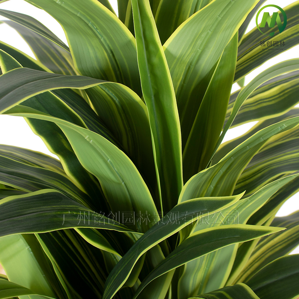Planta verde de simulación de piso a gran escala, árbol de hierro rojo, madera brasileña, decoración interior, planta de simulación, hierro brasileño de borde amarillo