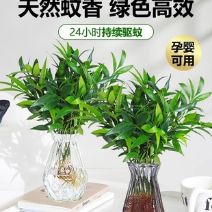 ��������ˮ��ֲ���҃ȿ͏dˮ�B�Gֲ���������k���������ļ����B