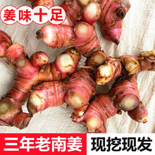 �Ͻ��������r���] ���xҰ��ɽ��ţ�������uζȥ����ζ�{���Ͻ�