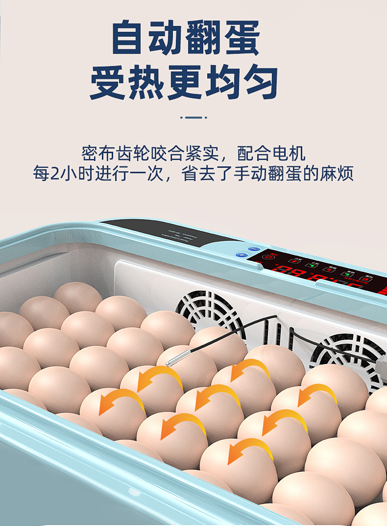 新炫彩款详情01_11