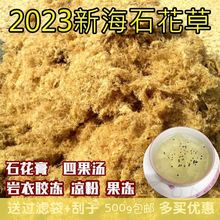 海石花草石花菜商用摆地摊岩衣胶冻凉粉四果汤花膏粉洋菜摆摊跨境