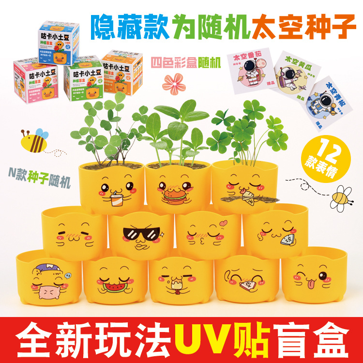 Niños plantan pequeños jardines de infantes fresas plantas de mesa mini caja ciega diy verde juguetes puestos al por mayor image 8
