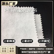 量大从优25克-80克PET无纺布涤纶纺粘无纺布过滤环保耐高温无纺布
