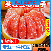 【活动款】红心柚三红蜜柚柚子红肉蜜柚当季对接电商直播产地直发