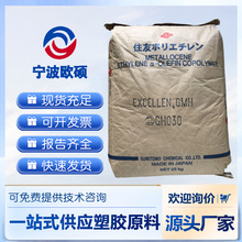 �D����EPPE GT050�ձ�ס�� ��Ĥ���rĤ ���ذ��b�� 늾���|����