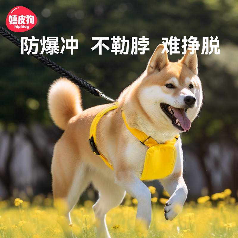 2024 nuevo chaleco para perros cuerda de tracción dibujos animados perro mediano y grande método golden retriever perro grande fuera correa para el pecho en forma de Y