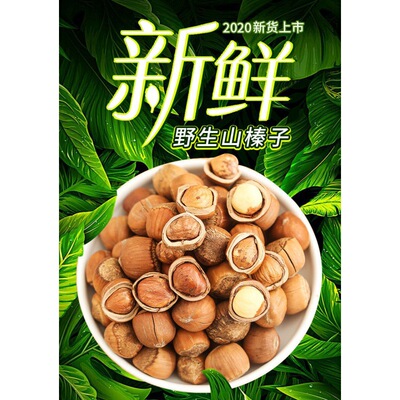 鼠小于東北特産榛子新貨原味鐵嶺紙皮榛子堅果250g包郵