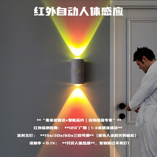 �羳RGB�߲ʝu׃Сҹ���������w�Б��������ʽ�òʷՇ��p�^�ڟ�