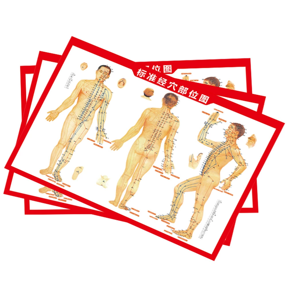 Карта иглоукалывания прижигания Стандартная карта человеческого тела карта меридиана прижигание выбор точки акупунктуры справочная таблица Двусторонняя цветная печать высокой четкости карта местоположения точки акупунктуры