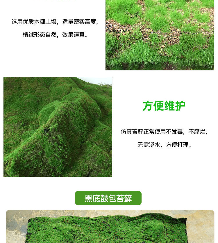 苔藓草皮详情_03.jpg