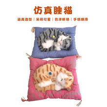 �YƷ����؈��������նY���؈�Y��Ҿ��bӼҔ[������؈��ˇƷ