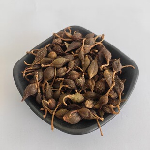 �B�N��ș�����l�o����؛ ���N ���|�B�N ��؛���� ����ă��S�N