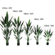 �������˽����ԼӺ��~Ƭ���˽����Q�m�Ӽ��k�����b���ؔ[�����l