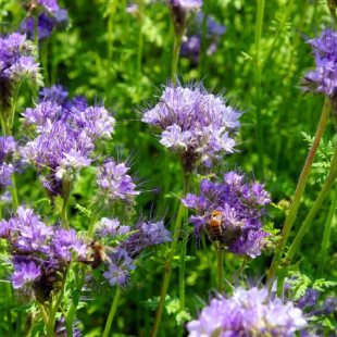 �{��ݷN��ͥԺ�^�p�{��ɫ�����~��ɫ���������ļ��̨�����ﲥ