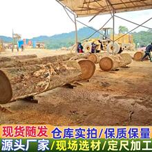 进口黄云香 黄云香板材  黄芸香原木 大斑马 巴花 现货 金丝梨木