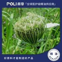 Индия импортировала Эфирное Масло Семян Моркови салон красоты Массаж Уход за кожей эфирное масло Довольно одно эфирное масло ароматерапия сырье