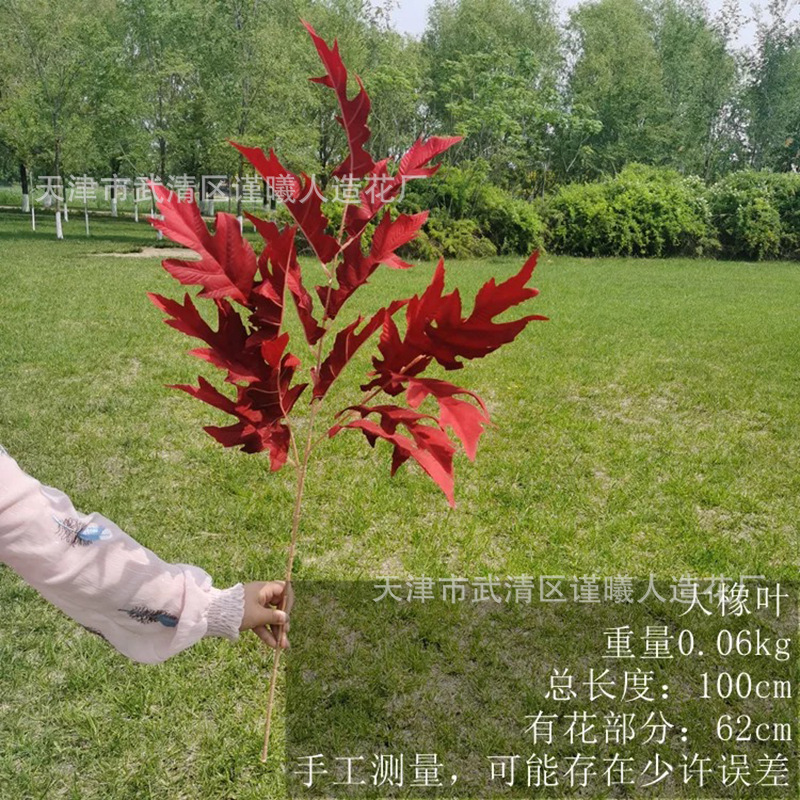 큰 오크 잎