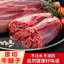 原切牛腱子新鲜进口牛肉五花牛腱子肉生鲜食材健身牛腿肉冷冻商用