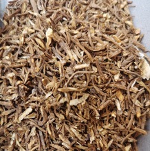 当归药材原料甘肃岷县当归尾须颗粒各种规格无沫无杂质当归尾粉