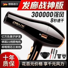 德国电吹风机家用大功率发廊理发店负离子护发速干风筒