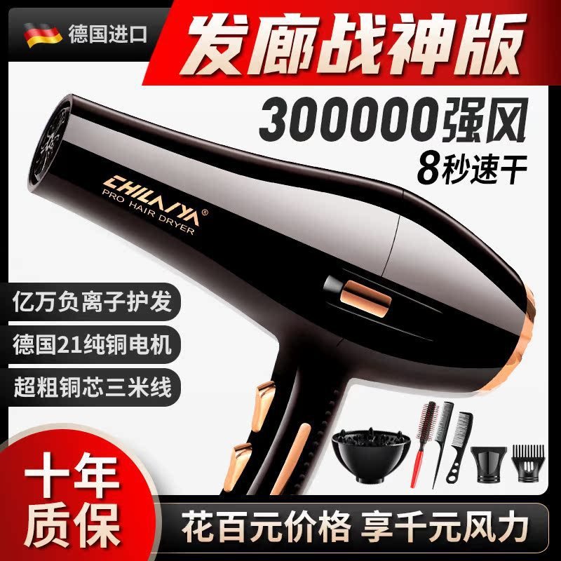 德国电吹风机家用大功率发廊理发店负离子护发速干风筒|undefined