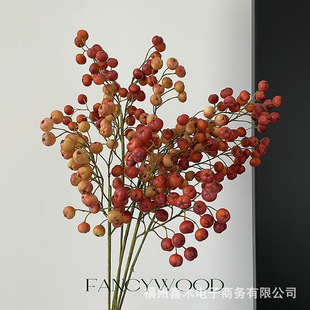 ����Ʒ�|��ɫ���Ĺ� Ȥζ���ӻ��� ��ˇ����OӋ ��ɫ�͹� �zӰ