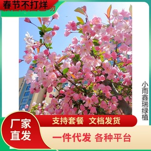 һ�����l���Ę���ͥԺ�������z���Ļ����Ե��Դ����ļ������ͺ���