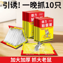 粘鼠板强力家用老鼠贴抓老鼠神器粘灭鼠捕鼠老鼠板胶一窝端驱鼠沾