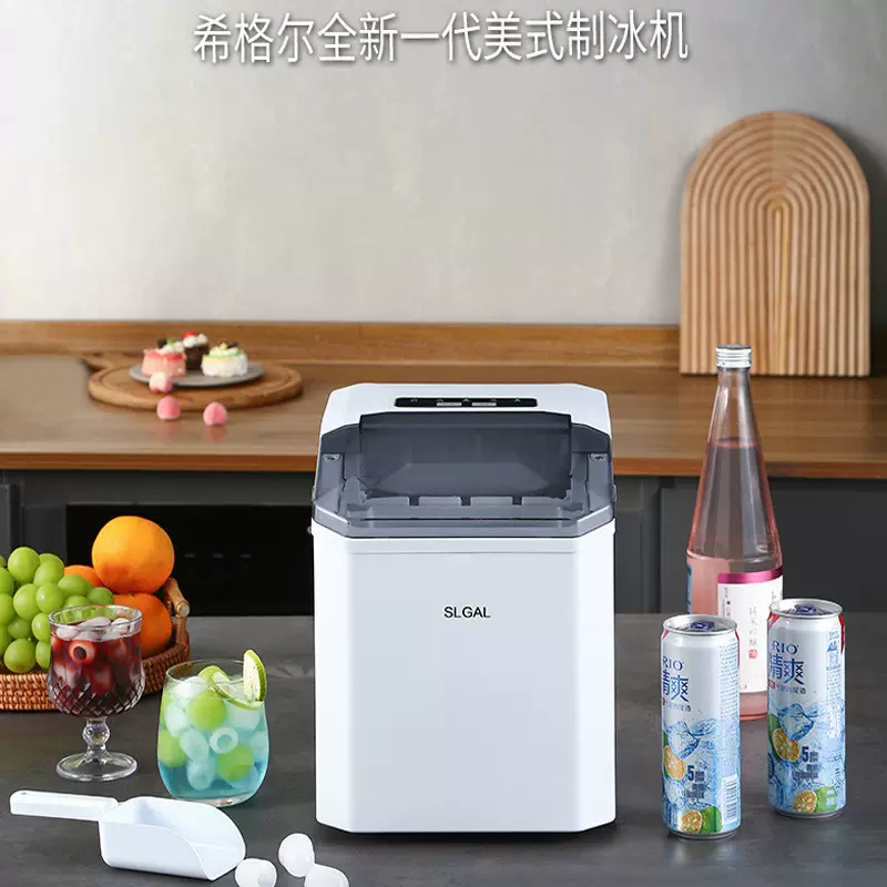 希格尔制冰机 家用制冰机小型制冰机国内专用型号