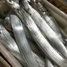【海浪夫妇】整条带鱼 冷冻新鲜捕捞 肉厚刺少海鲜水产到手13条