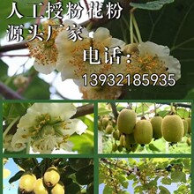 �J���һ��ۣ����ۣ��t�ľG���S��ܛ���J���Ҙ���ڷ�ͨ��