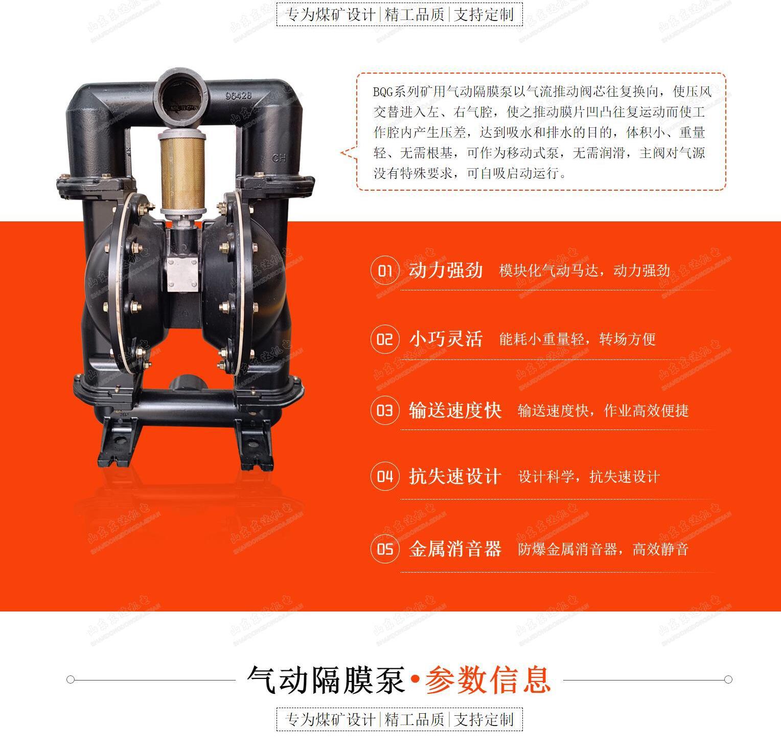BQG隔膜泵_3