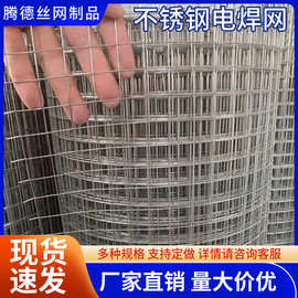 304不锈钢电焊网阳台防护网防鼠蛇网钢丝网围栏鸽鸟兔笼网格筛网