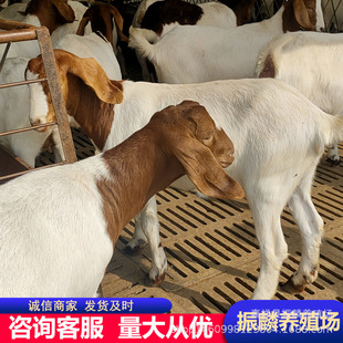 �����s������ɽ��-�s�����ʲ���ɽ��r��-���N����ɽ����ô�u