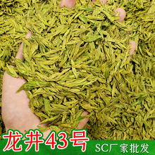 龙井43号2025新茶杭州明前龙井茶叶厂家散装绿茶批发货源雨前耐泡