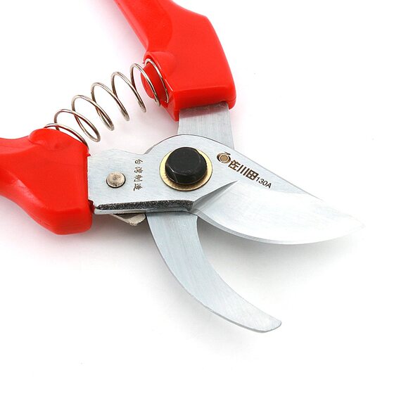 Sagawa Tian 130A Garden Scissors Pruning Shears Branch Fruit Tree Gardening Shears Floral Pruning Shears Japanese Alice