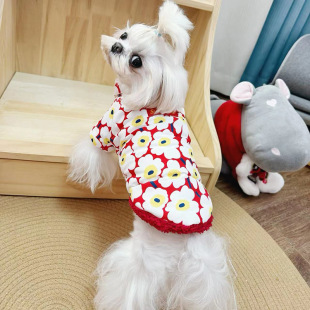 Pet dog cat mi New Year pet warm cotton-padded clothes New Year festive pet clothes can be worn on both sides