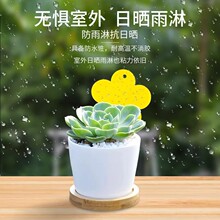 �S��ճ�x���E�R�����p����x�S�{�T�x��С���wճ�x���ļ��҃Ȍ���