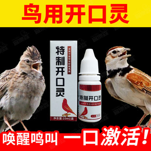 ��ü�B�_���`�Ͽ��`����Ϟ����`��Ợ�^�P��W�Sȸؐ���Q���_��