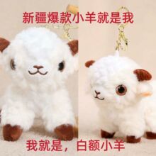 �½�����С�����վ��������С�d��ë�q�������耳׿�ë�q��ż