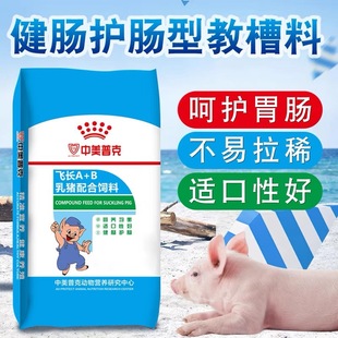 Weaning Feed for Piglets, Starter Feed for Piglets, Weaning Granules for Piglets