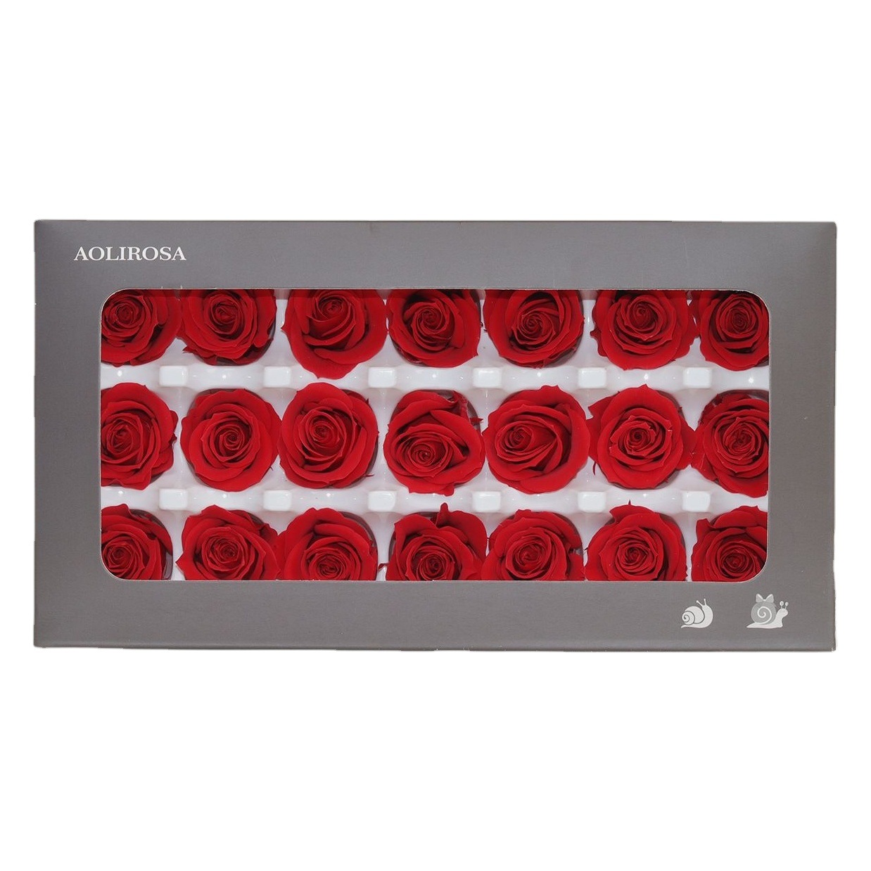 Rosa Preservada A+ de 2-3 cm, Flor Real, Material Floral para el Día de San Valentín, Material Floral al por Mayor de Yunnan, Regalo para el Día de la Madre, Material Floral para Manualidades