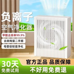 German Air Purifier Desktop Negative Ion Deodorization, Formaldehyde Removal, Haze Removal, Pet Floating Hair Removal and Odor Removal